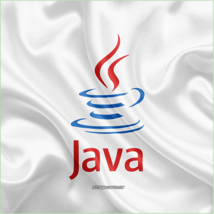 Hvad er en Java-udvikler?